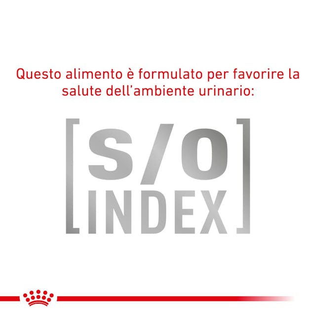 12x85g Royal Canin Early Renal Veterinary - Umido Gatto 12x85g Royal Canin Early Renal Veterinary - Umido Gatto